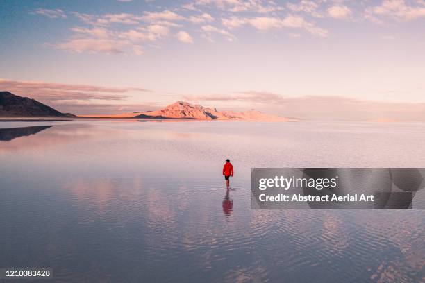 aerial shot of a person walking across the flooded bonneville salt flats, utah, united states of america - saltäng bildbanksfoton och bilder