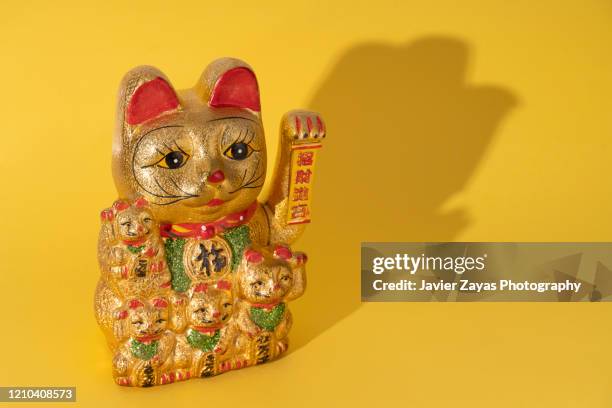 lucky cat against yellow background - maneki neko 個照片及圖片檔