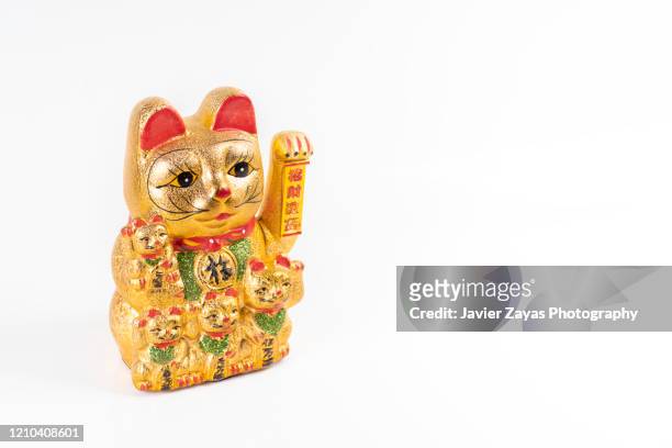 lucky cat against white background - prosperity stock pictures, royalty-free photos & images