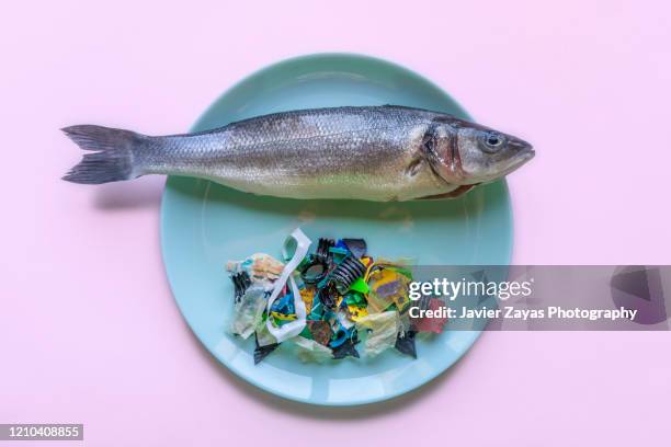 seabass and plastic menu - mikroplastik stock-fotos und bilder