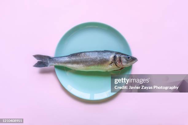 raw seabass on plate - dieta baja en carbohidratos fotografías e imágenes de stock