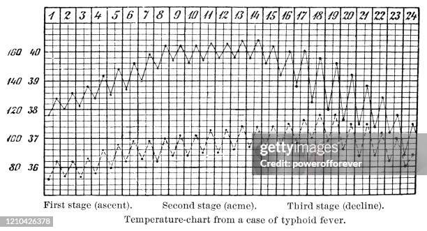 temperature chart of patient with typhoid fever - 19th century - medical diagram stock illustrations