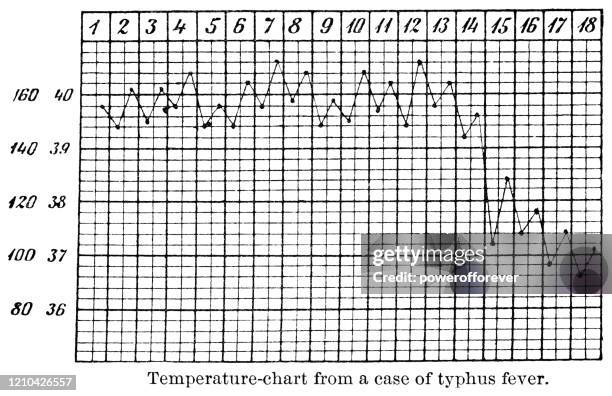 temperature chart of patient with typhus fever - 19th century - medical chart stock illustrations