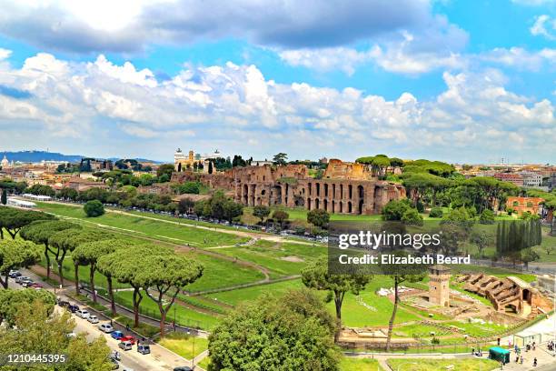 ruins of circus maximus, rome - circus maximus imagens e fotografias de stock