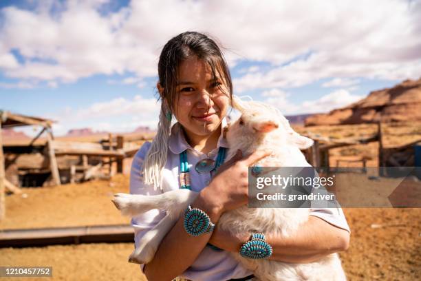 nahaufnahme einer jungen navajo frau hält ein lamm aus der herde - indian animals stock-fotos und bilder