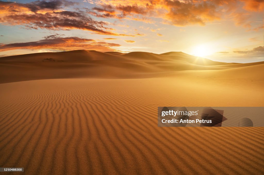 Panorama of dramatic sunset in the desert. Sand dunes against a beautiful sky