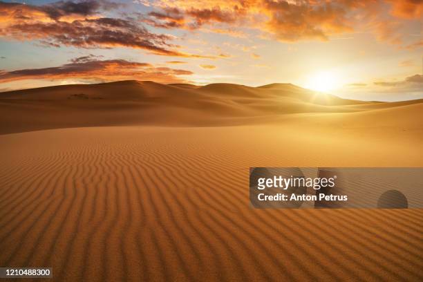 panorama of dramatic sunset in the desert. sand dunes against a beautiful sky - paisaje árido fotografías e imágenes de stock