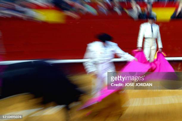 Spanish bullfighter Enrique Ponce gives a pass to his first bull during the Fallas bull festiva in Valencia, 16 March 2005 . AFP PHOTO JOSE JORDAN