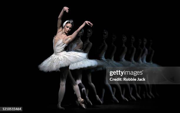 Lauren Cuthbertson as Odette/Odile and with artists of the company in The Royal Ballet's production of Lev Ivanov and Marius Petipa's Swan Lake with...