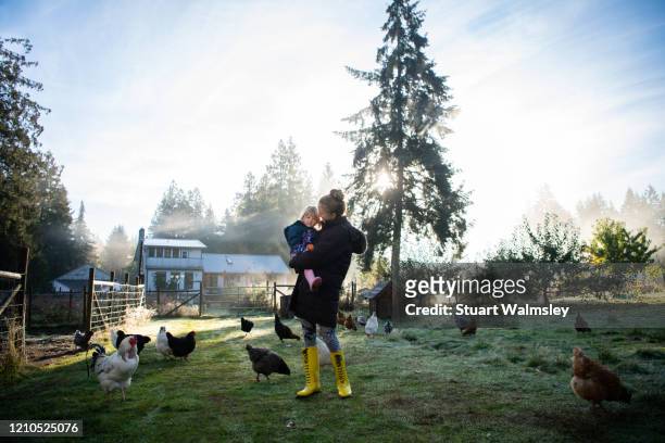 mother, daughter on farm - agritoerisme stockfoto's en -beelden