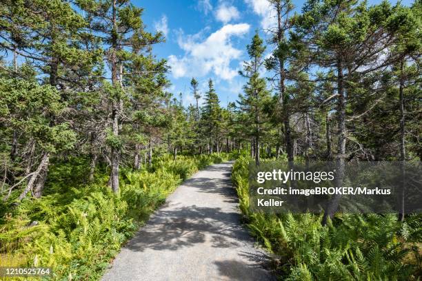 Breton Wildlife Refuge Photos and Premium High Res Pictures Getty Images