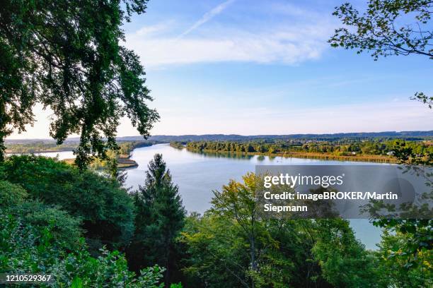 inn with the salzach estuary, near braunau am inn, innviertel, upper austria, austria - braunau stock-fotos und bilder