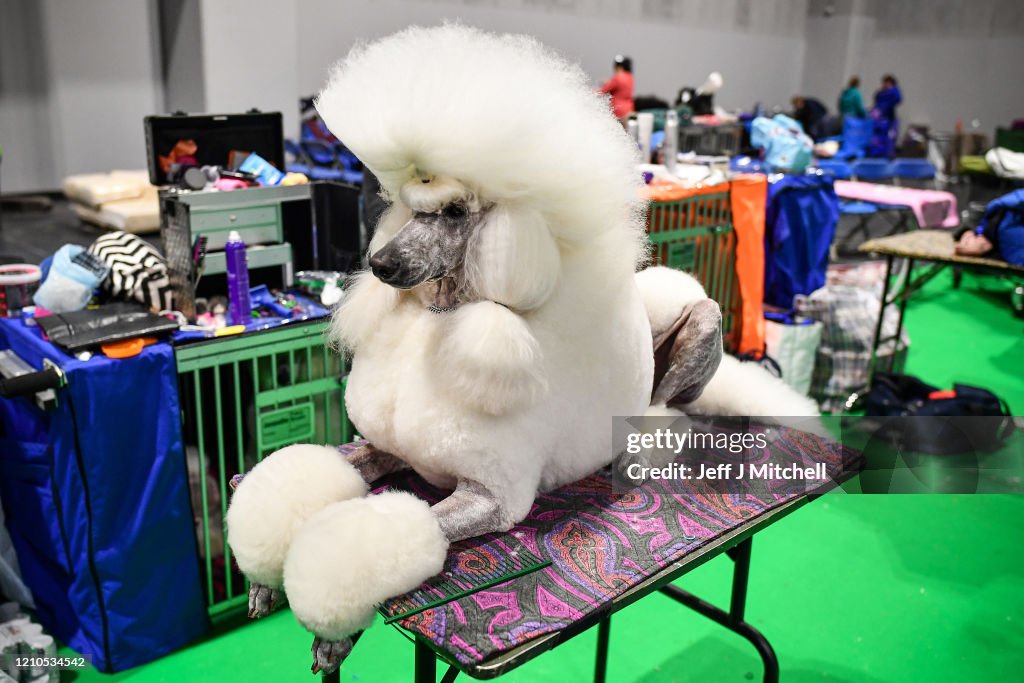 Crufts 2020 - Day One