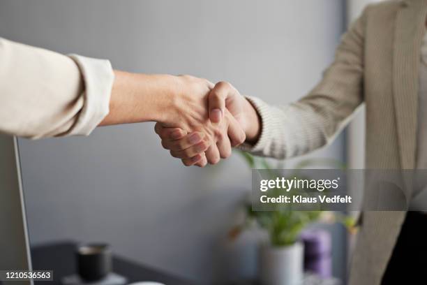 female entrepreneurs shaking hands at workplace - hi imagens e fotografias de stock