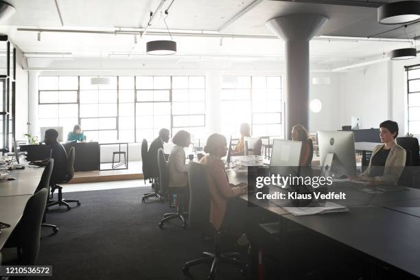 business professionals working at office desk - soft focus office stock pictures, royalty-free photos & images