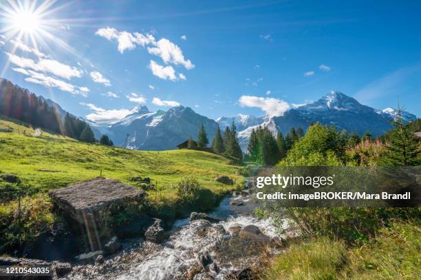 mountain stream in bright sunshine, snow-covered schreckhorn and eiger in the back, grindelwald, bern, switzerland - swiss alps fotografías e imágenes de stock