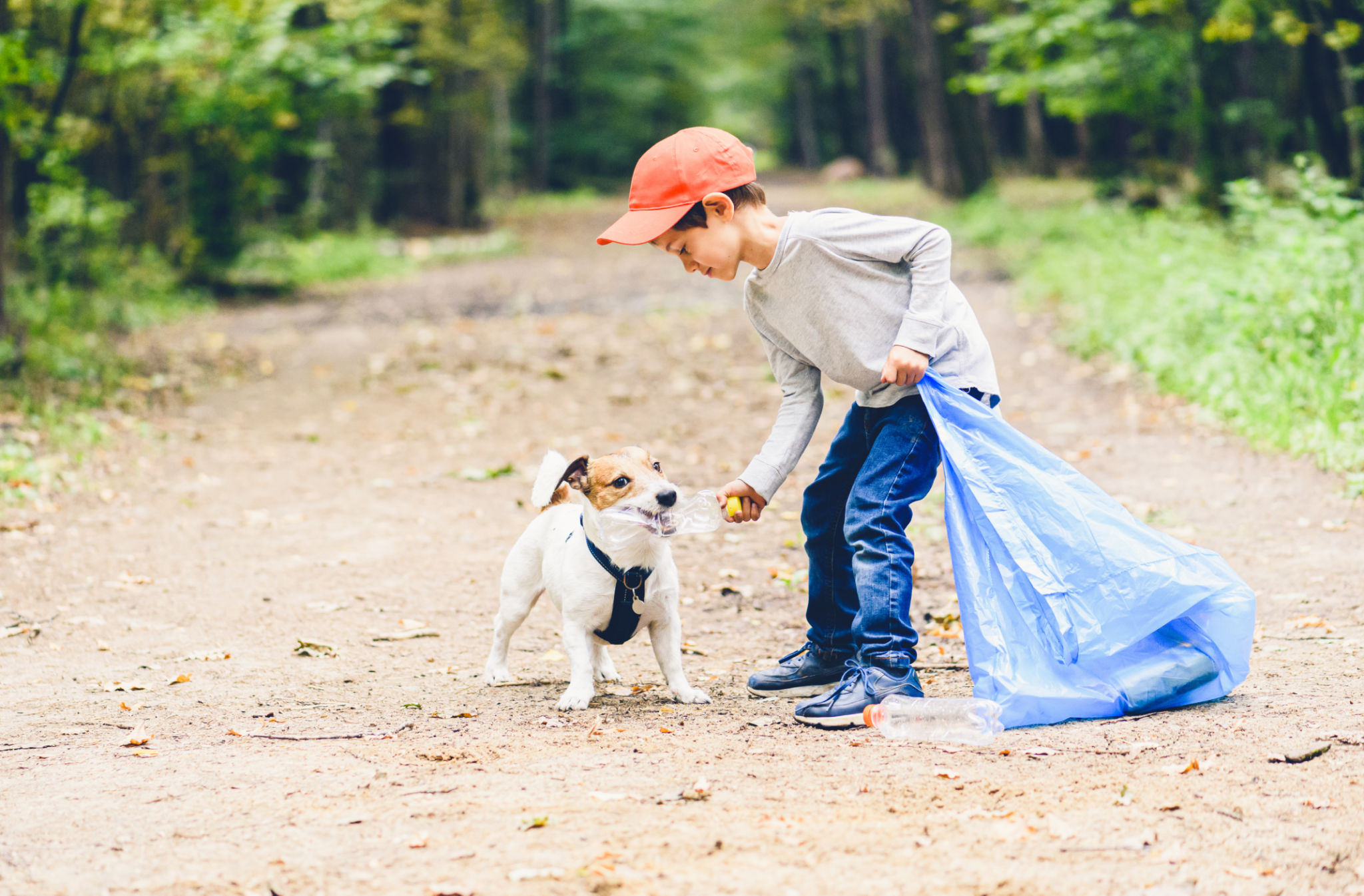 eco friendly pets