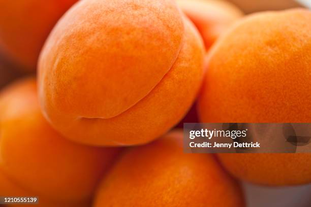 apricots - aprikos bildbanksfoton och bilder