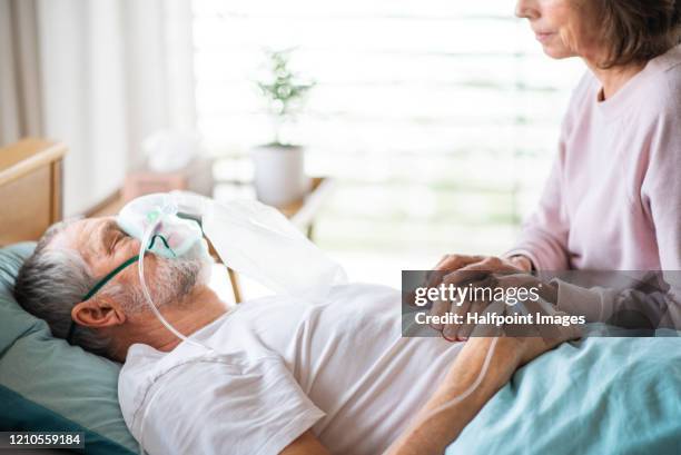 a senior ill man in hospital bed, his wife holding his hand. - icu patient stock-fotos und bilder