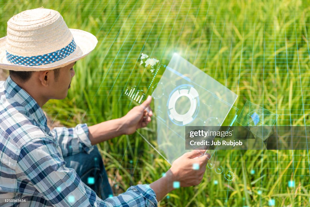 Smart farming, Agricultural technology and organic agriculture concept. Agritech icons and messages on farmer holding smartphone in vegetable field.