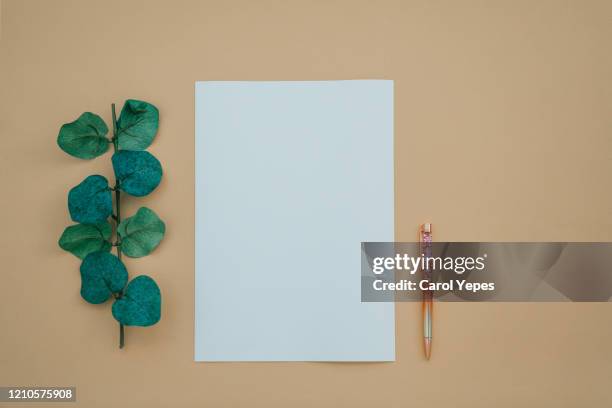 paper blank, eucalyptus branches - yule marble stock pictures, royalty-free photos & images