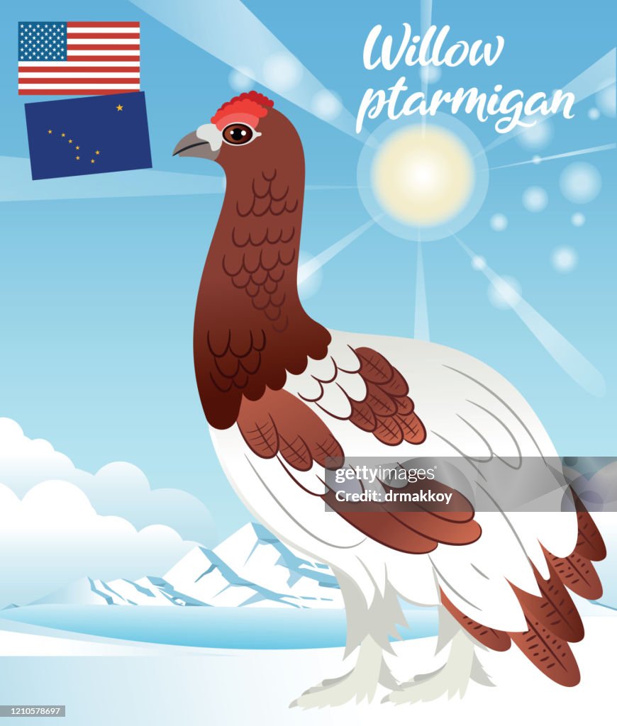 Willow ptarmigan