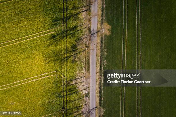 Aerial photograph of a field with rape and a field of grassland on April 21, 2020 in Vierkirchen, Germany.