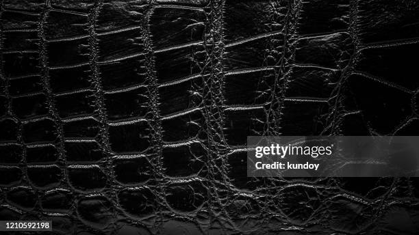 black leather texture, crocodile skin background. - protest against the usage of leather animals stockfoto's en -beelden
