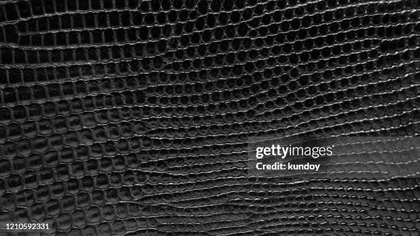 black reptile leather texture background. - schlangenleder stock-fotos und bilder