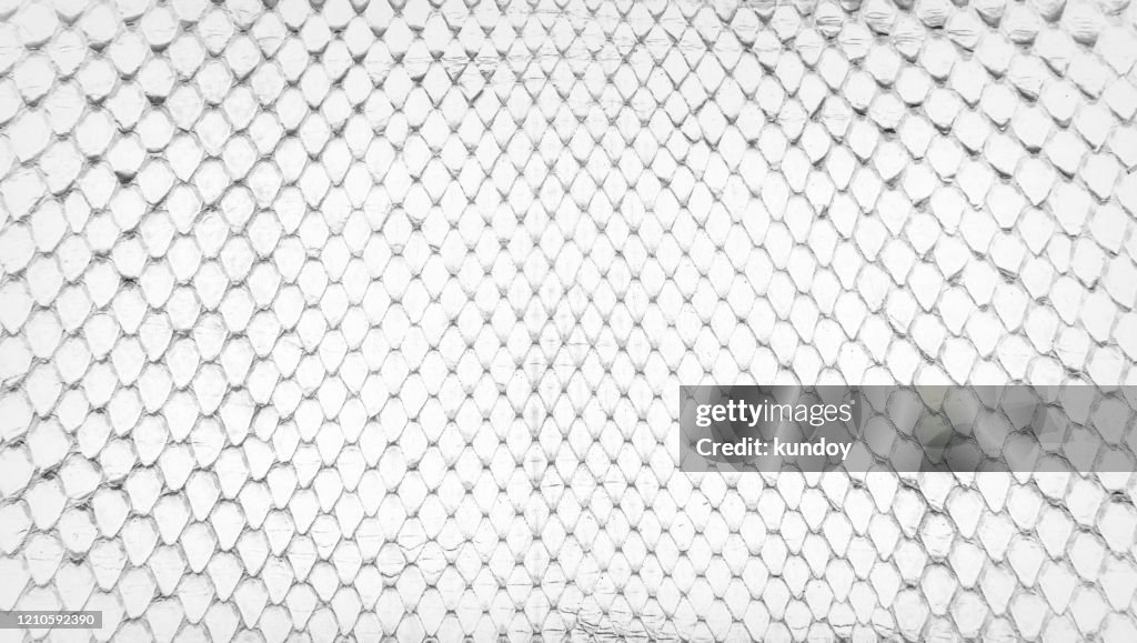 White snake skin, abstrat leather texture for background.