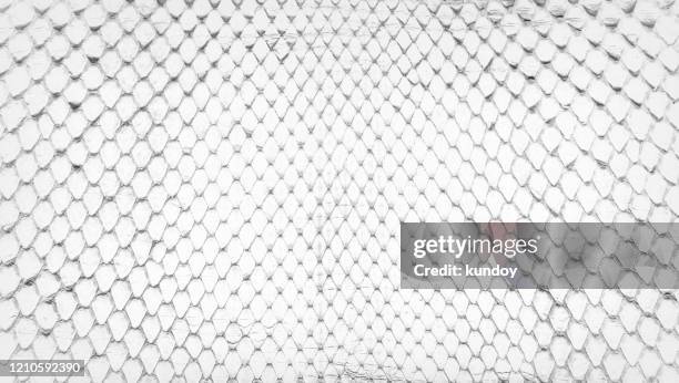white snake skin, abstrat leather texture for background. - piel de serpiente fotografías e imágenes de stock
