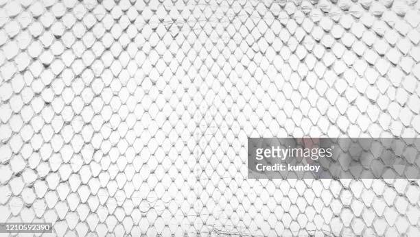 white snake skin, abstrat leather texture for background. - snake texture stock pictures, royalty-free photos & images