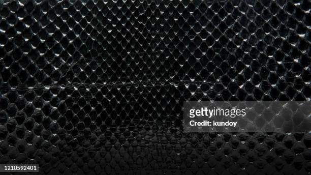 background with texture of a black snake skin. - peau de serpent photos et images de collection