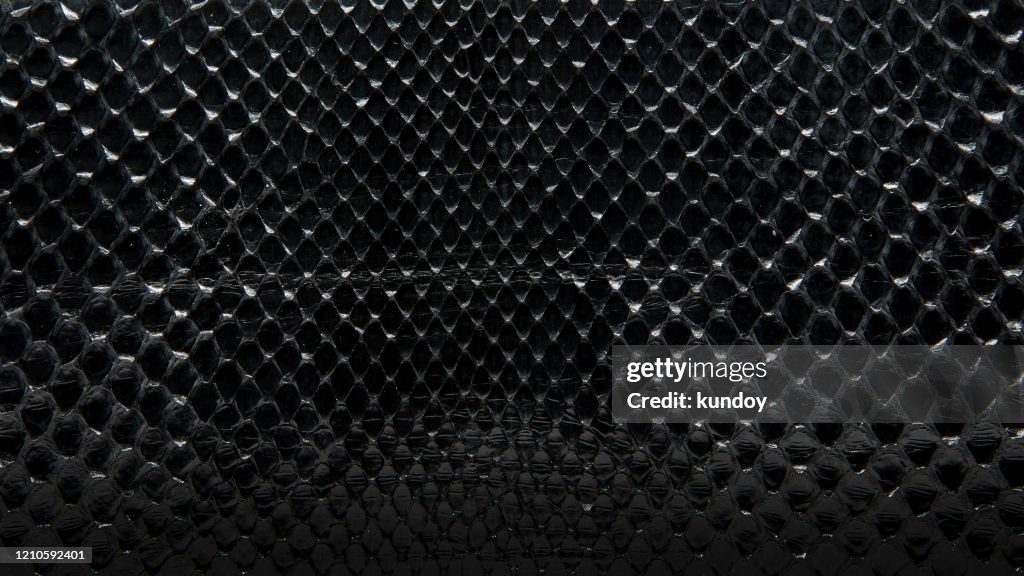 Background with texture of a black snake skin.