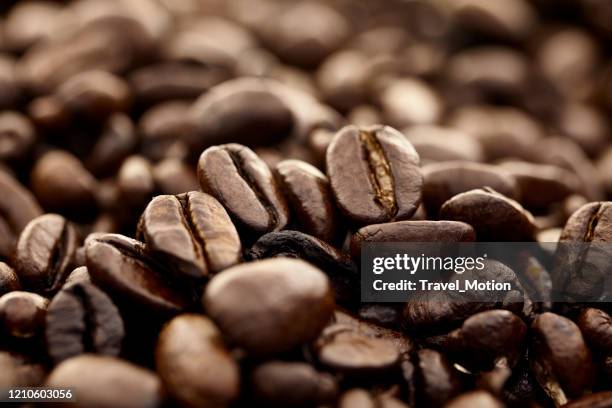 koffiebonen - bean stockfoto's en -beelden