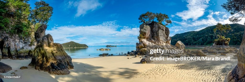 Overgrown rock on the beach of Stillwell Bay, Abel Tasman National Park, Tasman, South Island, New Zealand