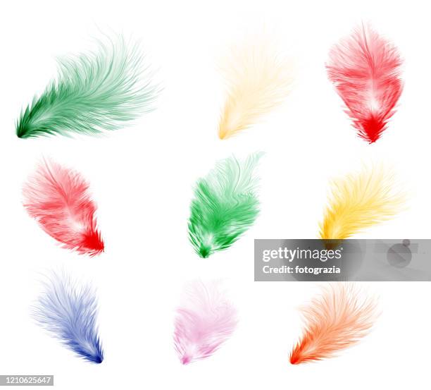 abstract feather collection - daunenfeder freisteller stock-fotos und bilder