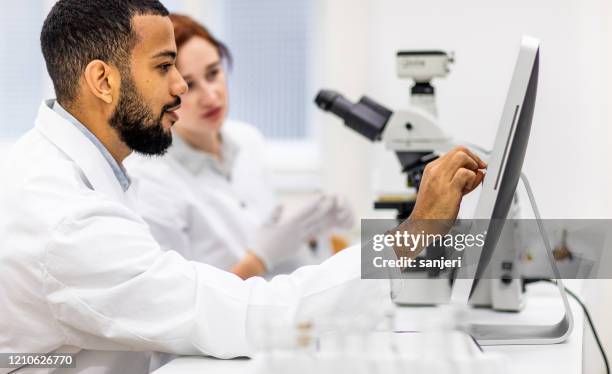 scientists working in the laboratory - cancer research institute stock pictures, royalty-free photos & images