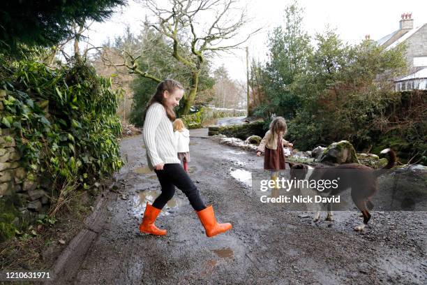 three young children are playing outside on a rural footpath with their pet dog. - femalefocuscollection stock-fotos und bilder