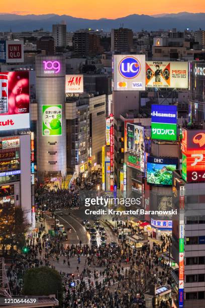 shibuya scramble crossing at night - crossed stockfoto's en -beelden