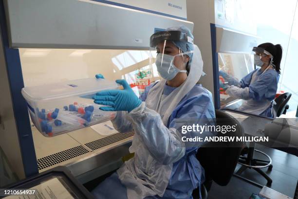 Laboratory technician wearing full PPE holds a container of test tubes containing live samples taken from people tested for the novel coronavirus, at...