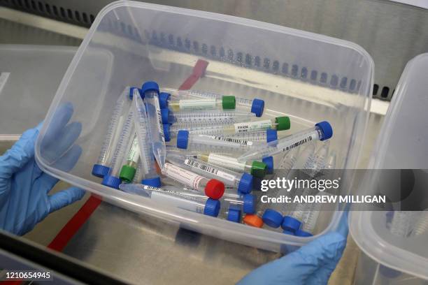 Test tubes containing live samples taken from people tested for the novel coronavirus, are pictured ahead of testing at a laboratory at a new...