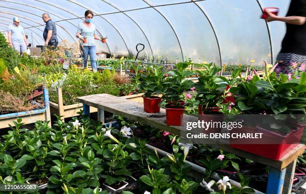 16 Robecq Stock Photos, HighRes Pictures, and Images Getty Images