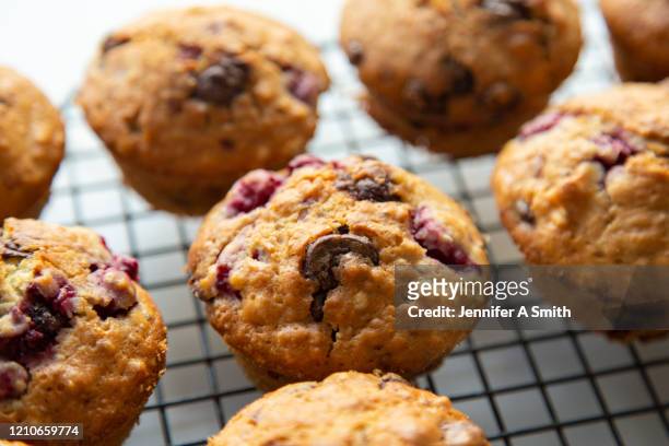 raspberry and chocolate muffins - muffin stock pictures, royalty-free photos & images