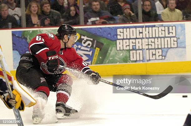 Buffalo Sabres right wing Maxim Afinogenov in action during a game against the Florida Panthers at HSBC Arena in Buffalo, New York on February 11,...