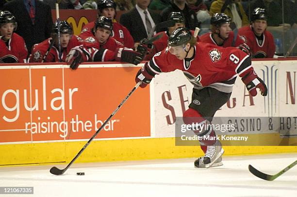 Buffalo Sabres center Derek Roy in action against the Florida Panthers during a game at HSBC Arena in Buffalo, New York on February 11, 2006. Buffalo...