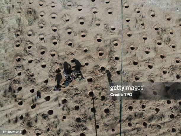 People are planting tree on a wasteland in Qilian mountain on 22th April, 2020 in Sunan,Gansu,China.