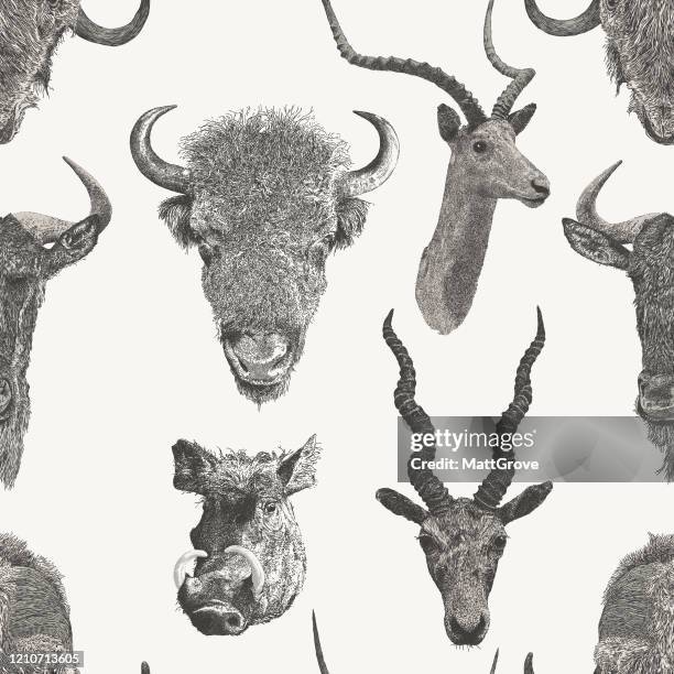 animal head trophy seemless repeat - cow head stock illustrations