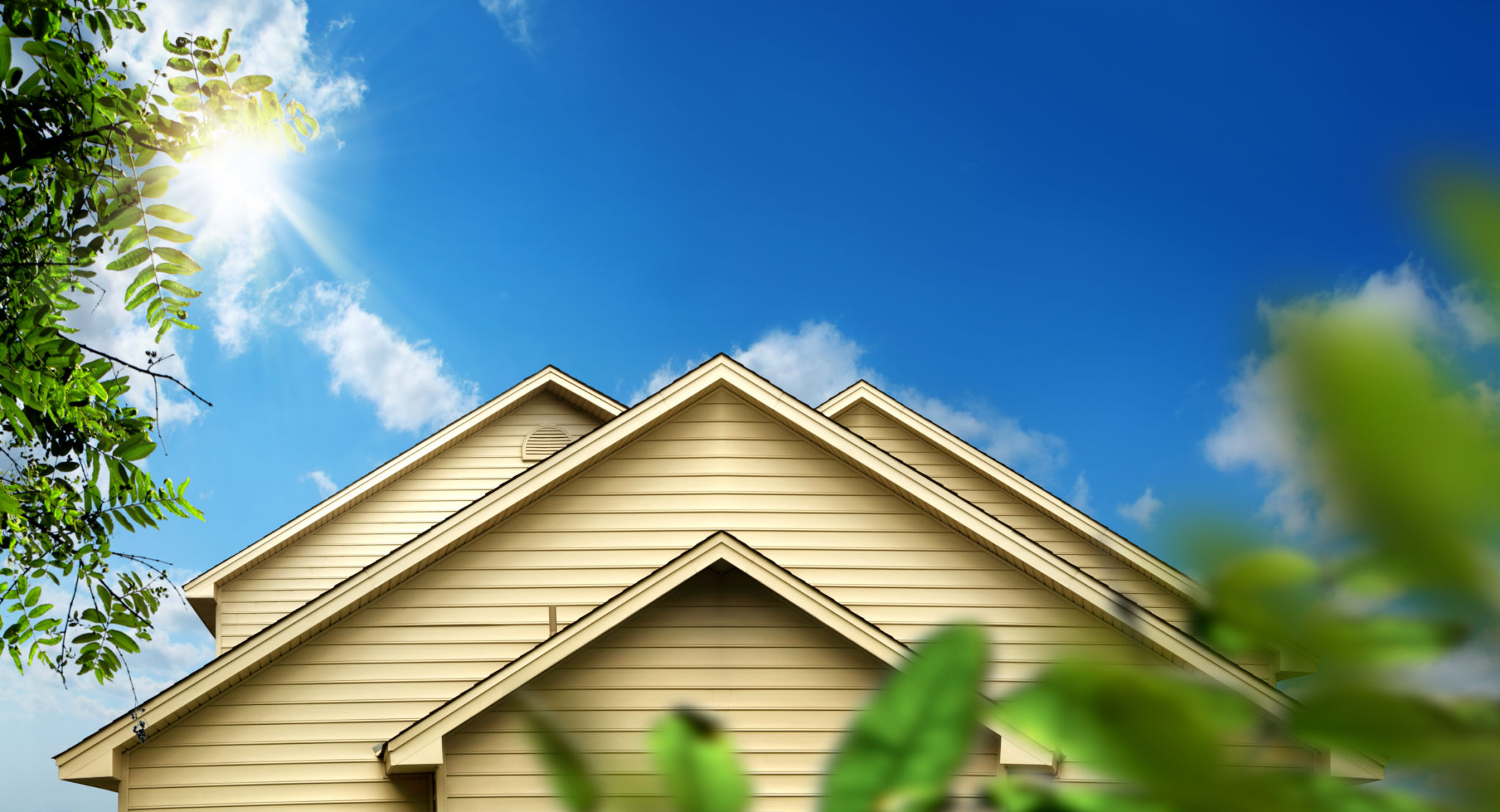 beautiful roof