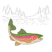 Fishing emote. Rainbow Trout Fish Realistic drawing Vector illustration.